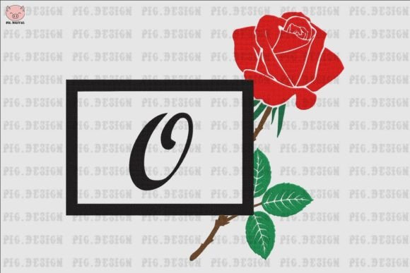 Rose Font O: A Designer’s Review for Real Projects